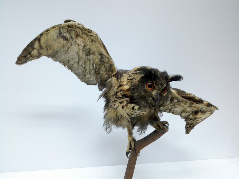 buho base madera 73x24-93x15.5-55 (50eu.) 1u